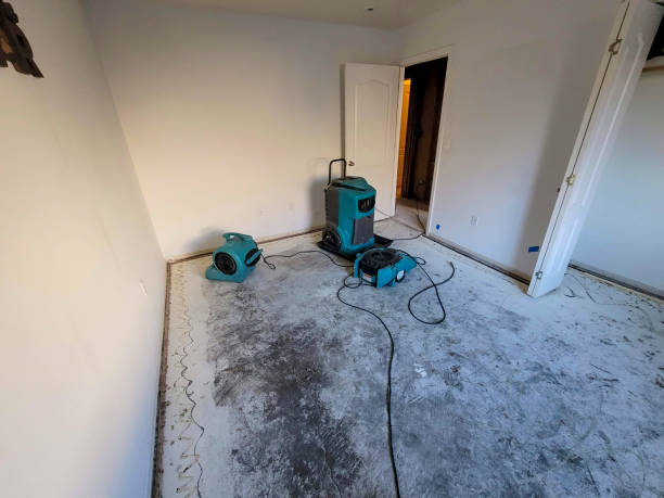 Best Residential water damage restoration  in Annandale, NJ