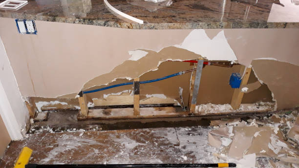 Best Flooded house restoration  in Annandale, NJ