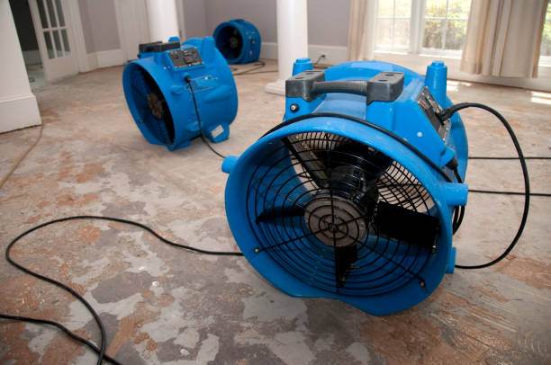 Best Fire Damage Restoration  in Annandale, NJ