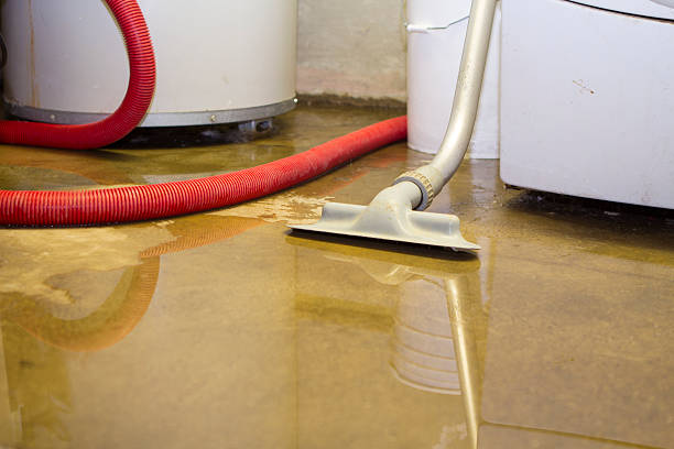 Best Local water damage restoration  in Annandale, NJ