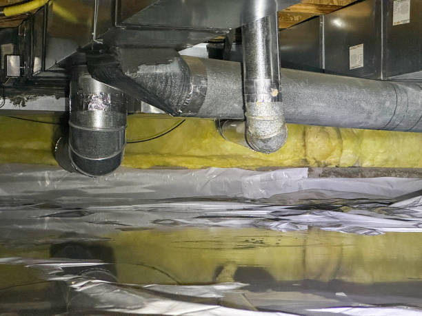 Best Water damage contractors near me  in Annandale, NJ