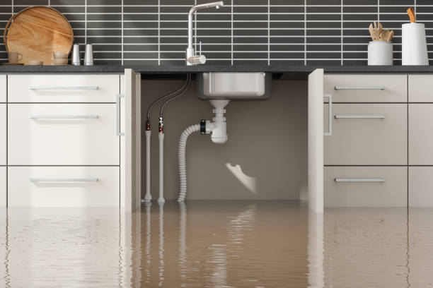 Best Flood damage cleanup  in Annandale, NJ