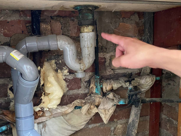  Annandale, NJ Water damage restoration Pros