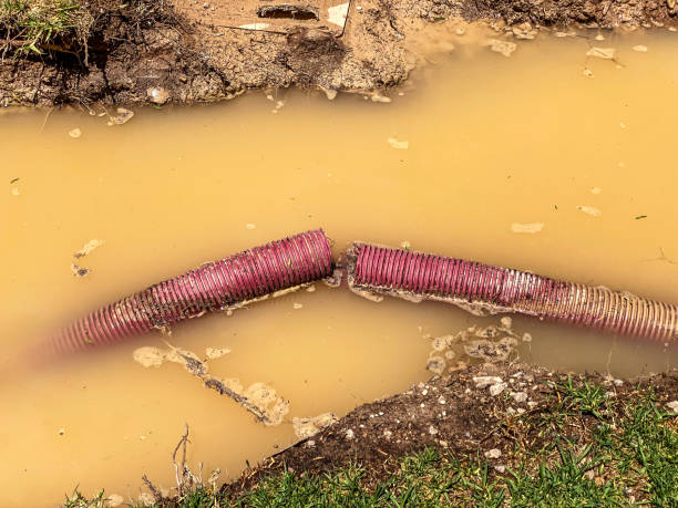 Best Basement water damage restoration  in Annandale, NJ